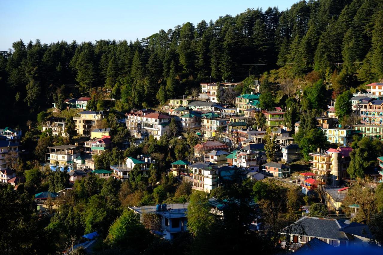 Хостел Mitra Mcleodganj Мак-Леод-Гейндж Экстерьер фото