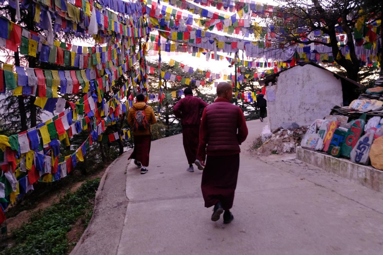 Хостел Mitra Mcleodganj Мак-Леод-Гейндж Экстерьер фото