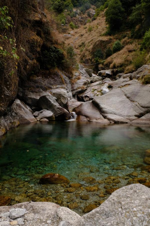 Хостел Mitra Mcleodganj Мак-Леод-Гейндж Экстерьер фото